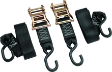 BikeMaster 2x84in Ratchet Tiedown Pair - Black