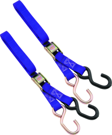 BikeMaster 1in Tiedown - Purple